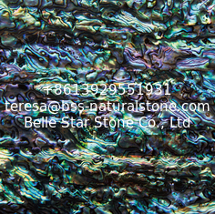 China Sea shell Wall Cladding Abalone Shell Decorating Panel Shiny Colorfully in 120x240mm supplier