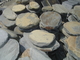 Rusty Slate Stepping Stone Natural Multicolor Slate Garden Stepping Pavements Garden Patios supplier